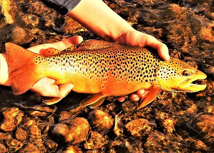 Holiday home Let's Go Wyoming: Riverfront Retreat At Hot Springs State Park Thermopolis